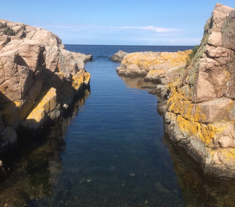 Frigörelse från det gamla och hyllning till det nya livet
